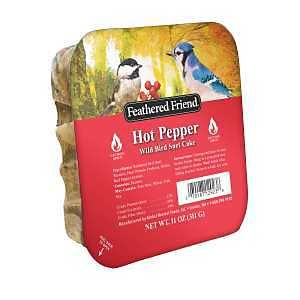 14377 WLD BIRD SUET HOT PEPPER