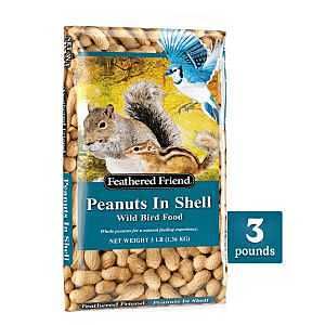 14369 FOOD BIRD PNUT N SHL 3LB