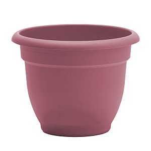AP1234 ARIANA PLNTR ROSE 12IN