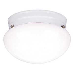 6669900 CEIL FIXTURE 1-LT 60W