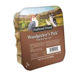 14378 WLD BIRD SUET WOODPECKER