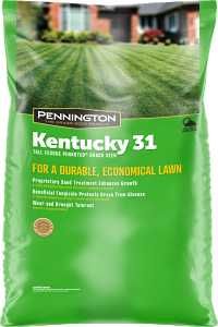 100516056 SEED GRASS TF 50LB