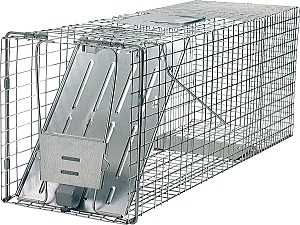 704-1514 GAUGE RAIN GLASS 5IN