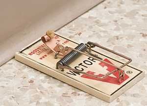 N262-030 SCREW WHITE