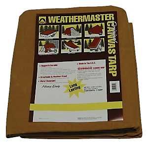 60407 SOCKET PUSH THRU BRASS