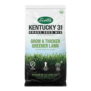 18314 GRASS SEED MIX K31 20LB