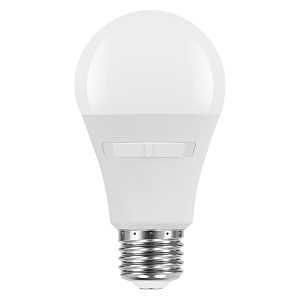 42483 LT BLB LED A19 5CCT 100W
