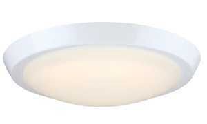 6136900 CEIL LIGHT FM 23W 11IN
