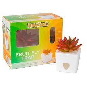 1818-JJ FRUIT FLY TRAP WHT BS