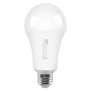 42593 LT BLB LED A19 5CCT 200W