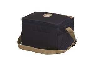 66782 COOLER BAG ASSORTED 6CAN