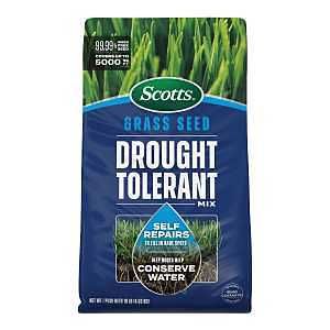 18444 GRS SEED DRGHT TLRNT MIX