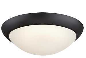 6137500 CEIL LIGHT FM 14W 11IN