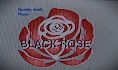 Blackrose and Blackrose Sparkle Plans