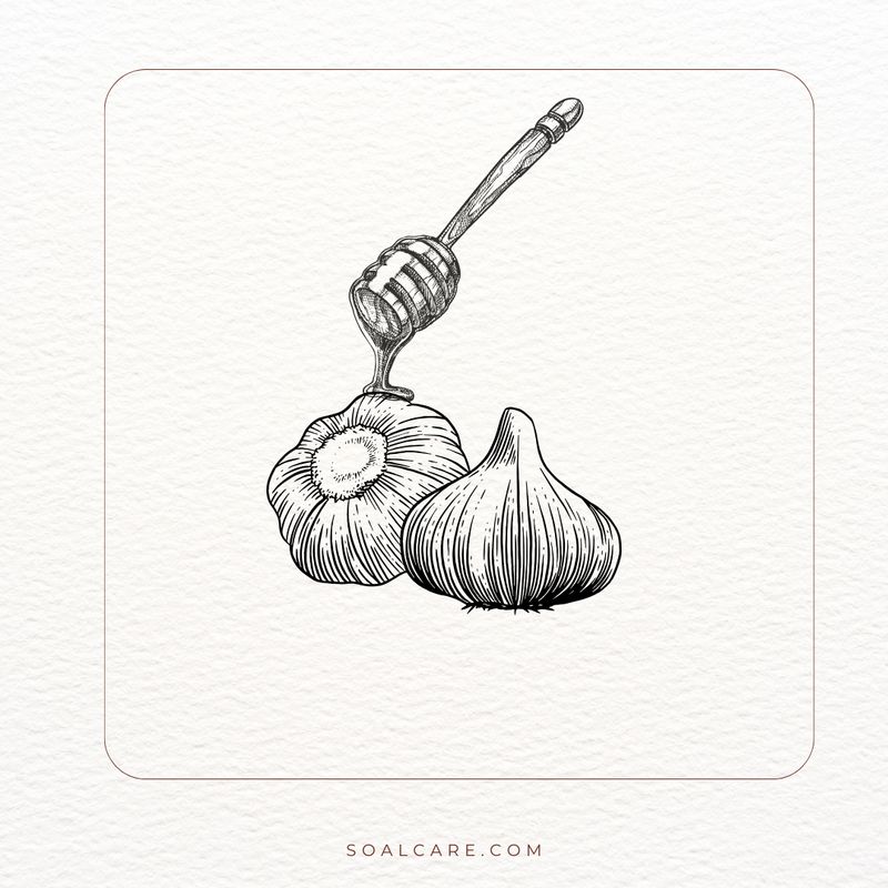 Fermented Garlic Honey