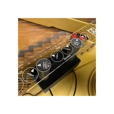Stereo ruler