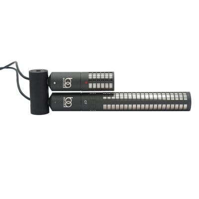 FLEXIBLE STEREO MICROPHONES