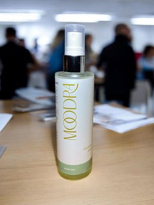 Mind Zen Aroma Mist for Focus, Relaxation & Clarity Mind Zen Aroma Mist for Focus, Relaxation & Clarity