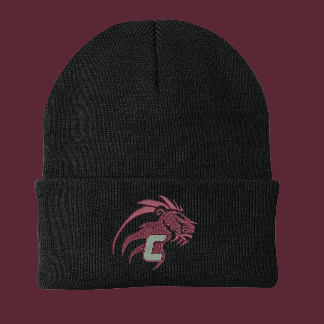 Concord Knit Cap (black)
