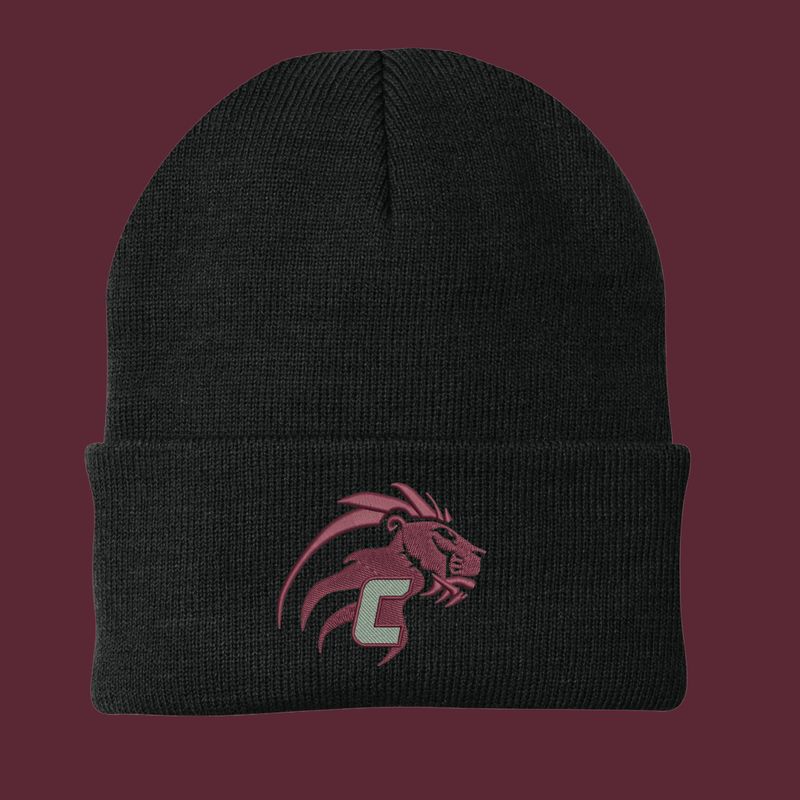 Concord Knit Cap (black)