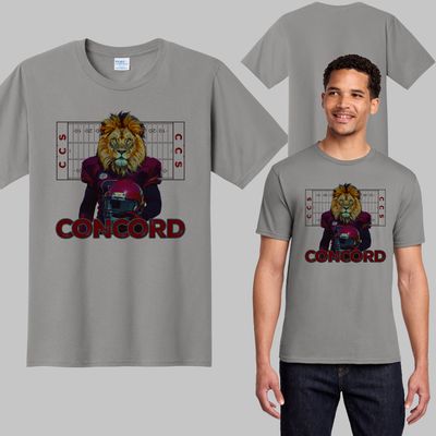 Concord Ring Spun Tee (grey)