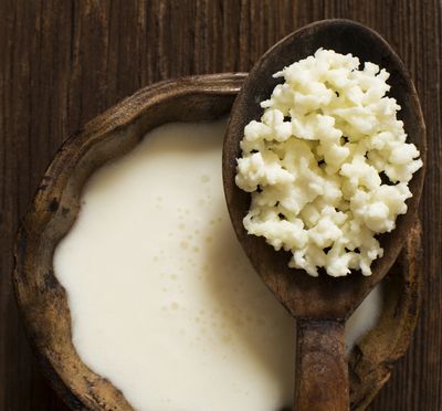 Milk Kefir Grains LIVE CULTURE PROBIOTIC (2 TBSP)