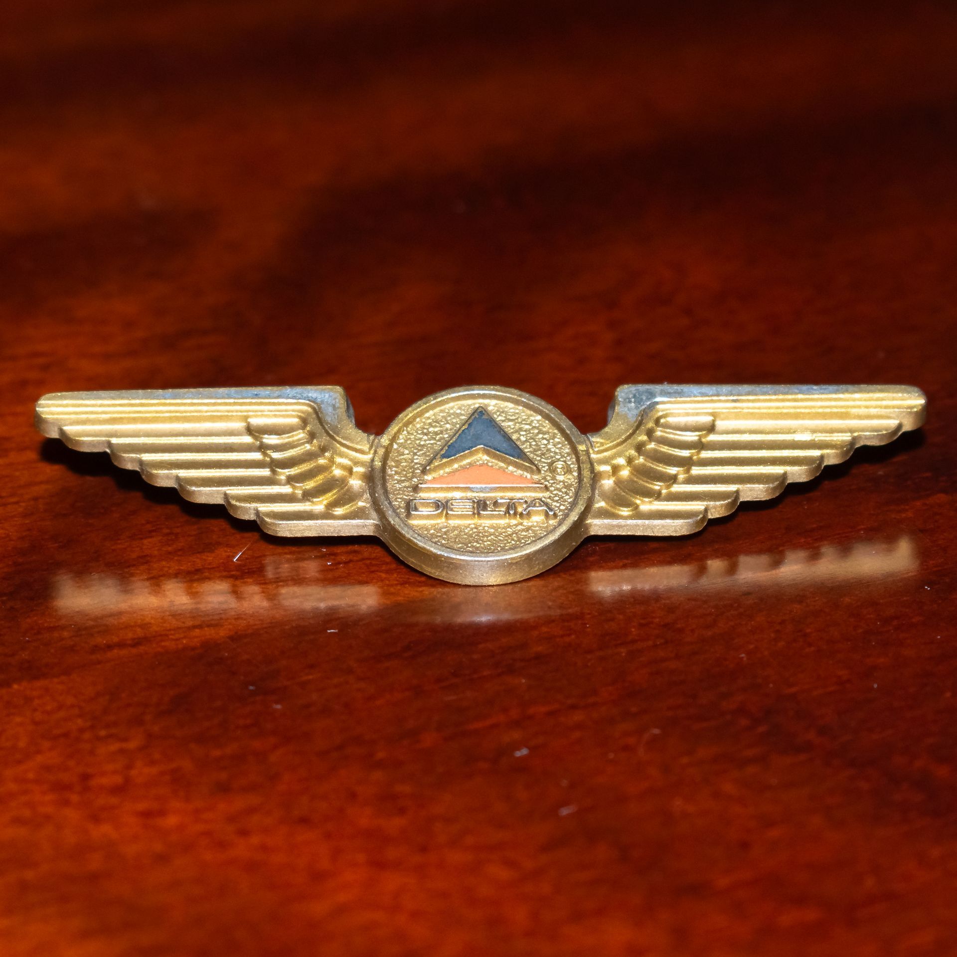 Delta Airlines Jr. Pilot Wings