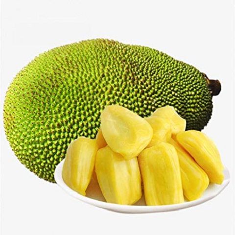 Jack Fruit