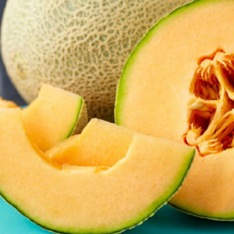 Cantaloupe Cantaloupe