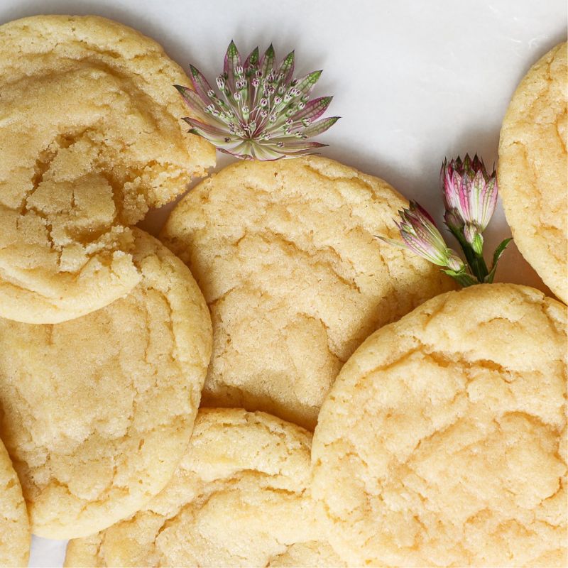 Sugar Cookie Sugar Cookie