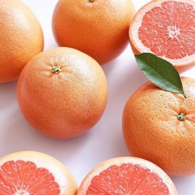 Grapefruit