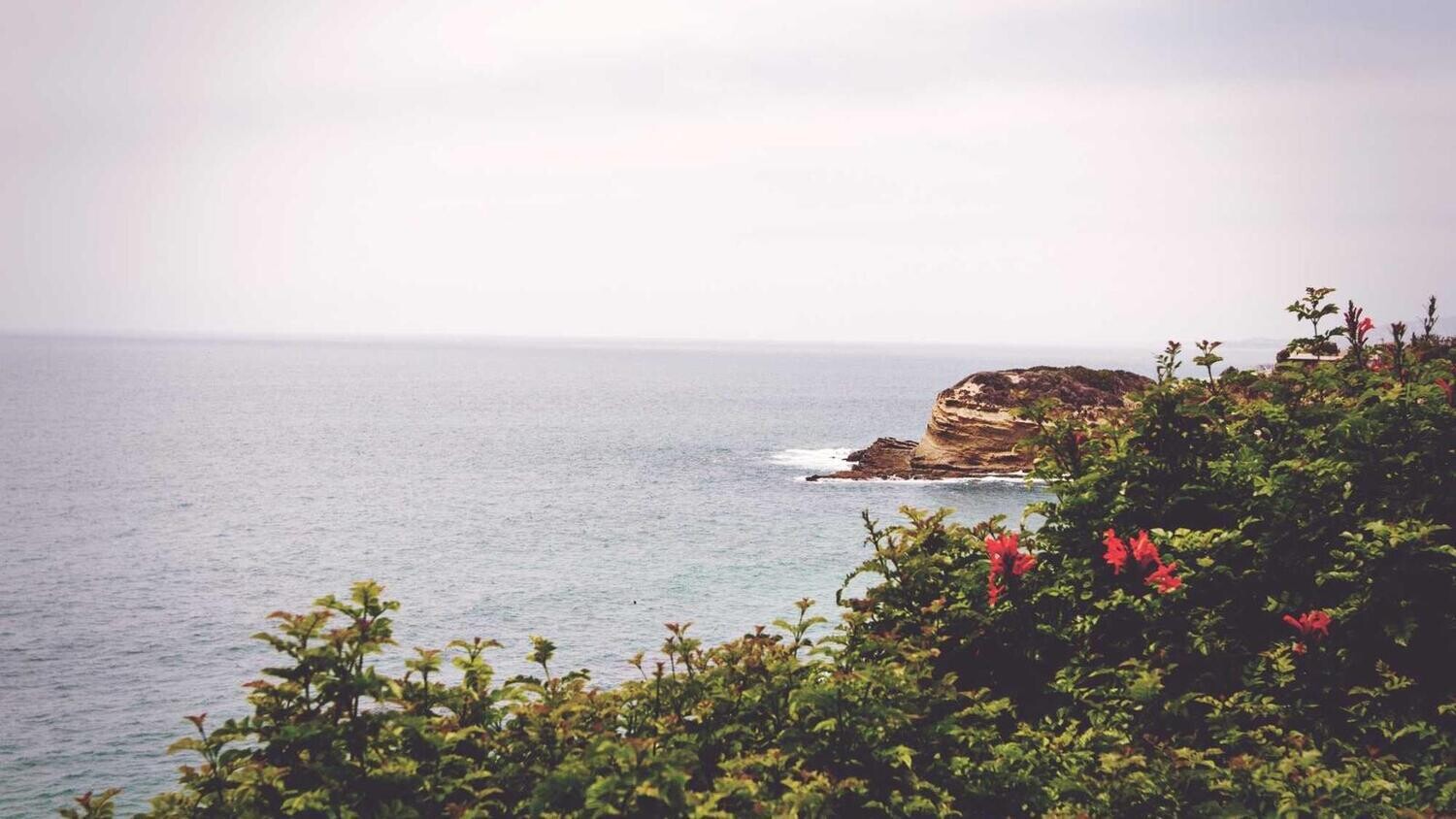 product_11287, Size: Large, Color: Pink