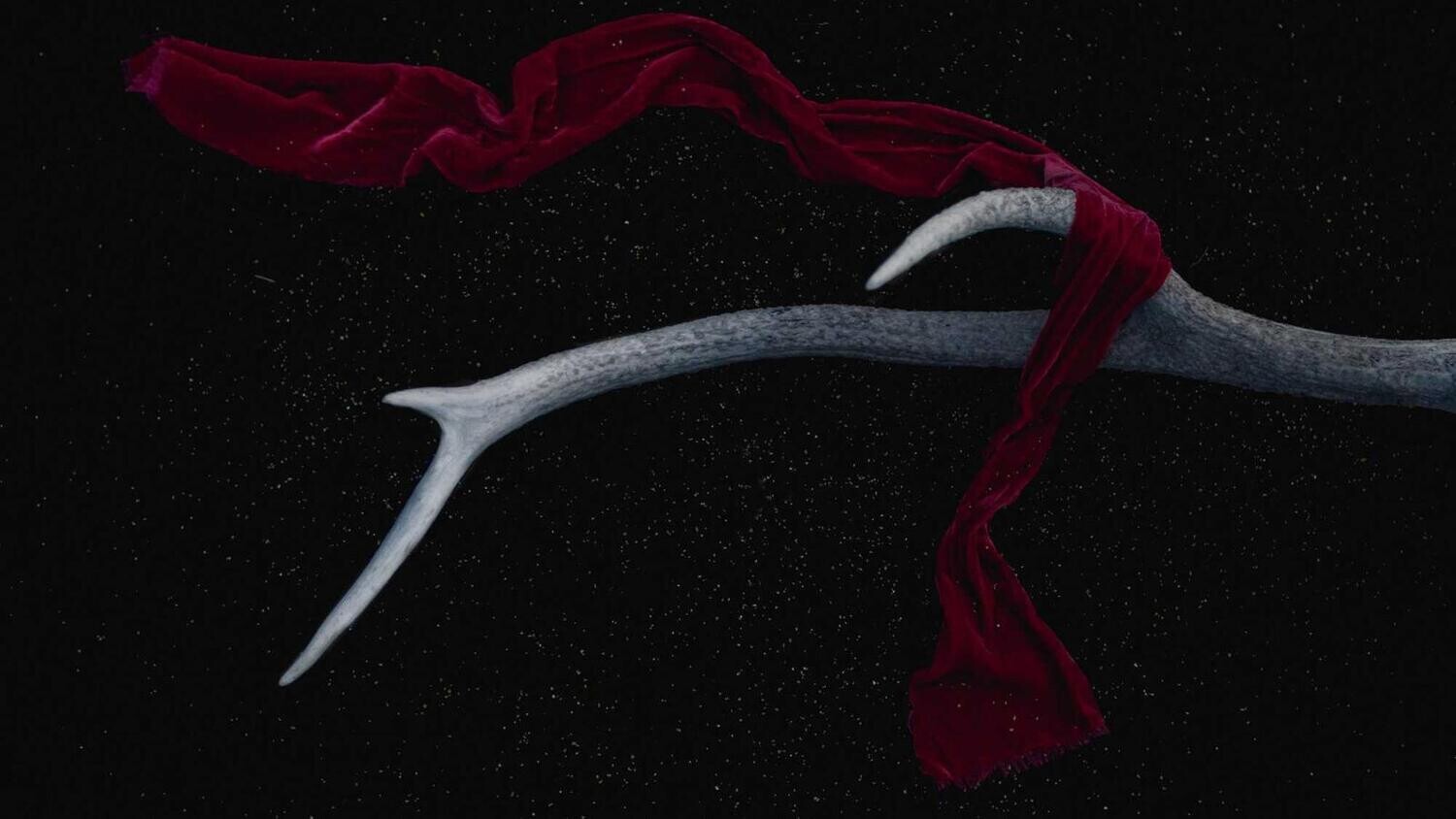 product_41746, Size: Large, Color: Pink