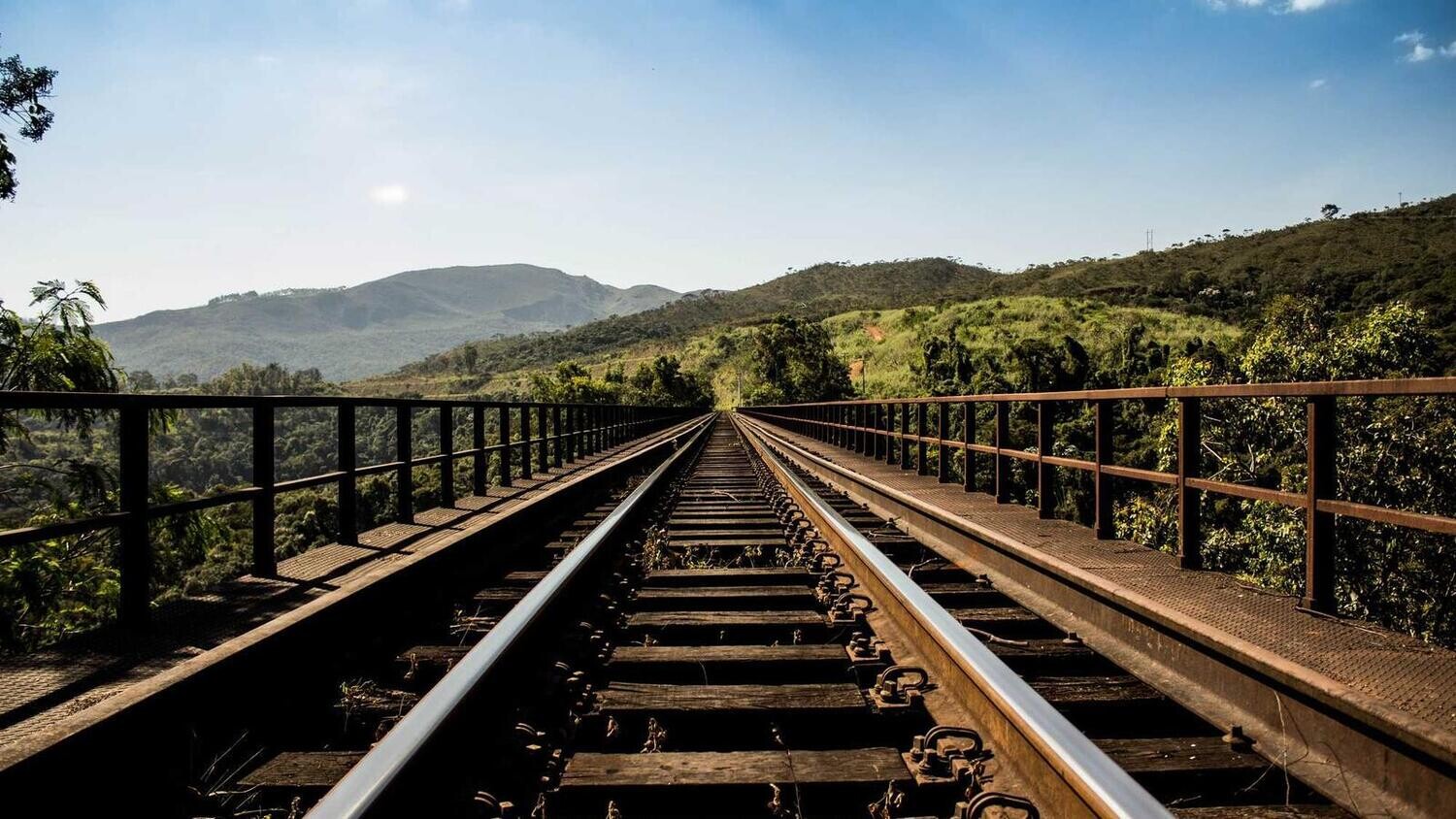 product_38683, Size: Large, Color: Pink