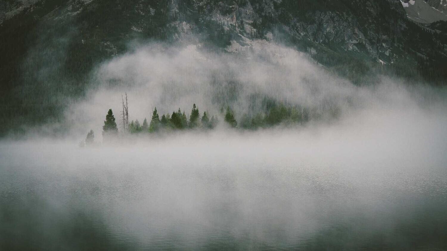 product_29154, Size: Large, Color: Pink