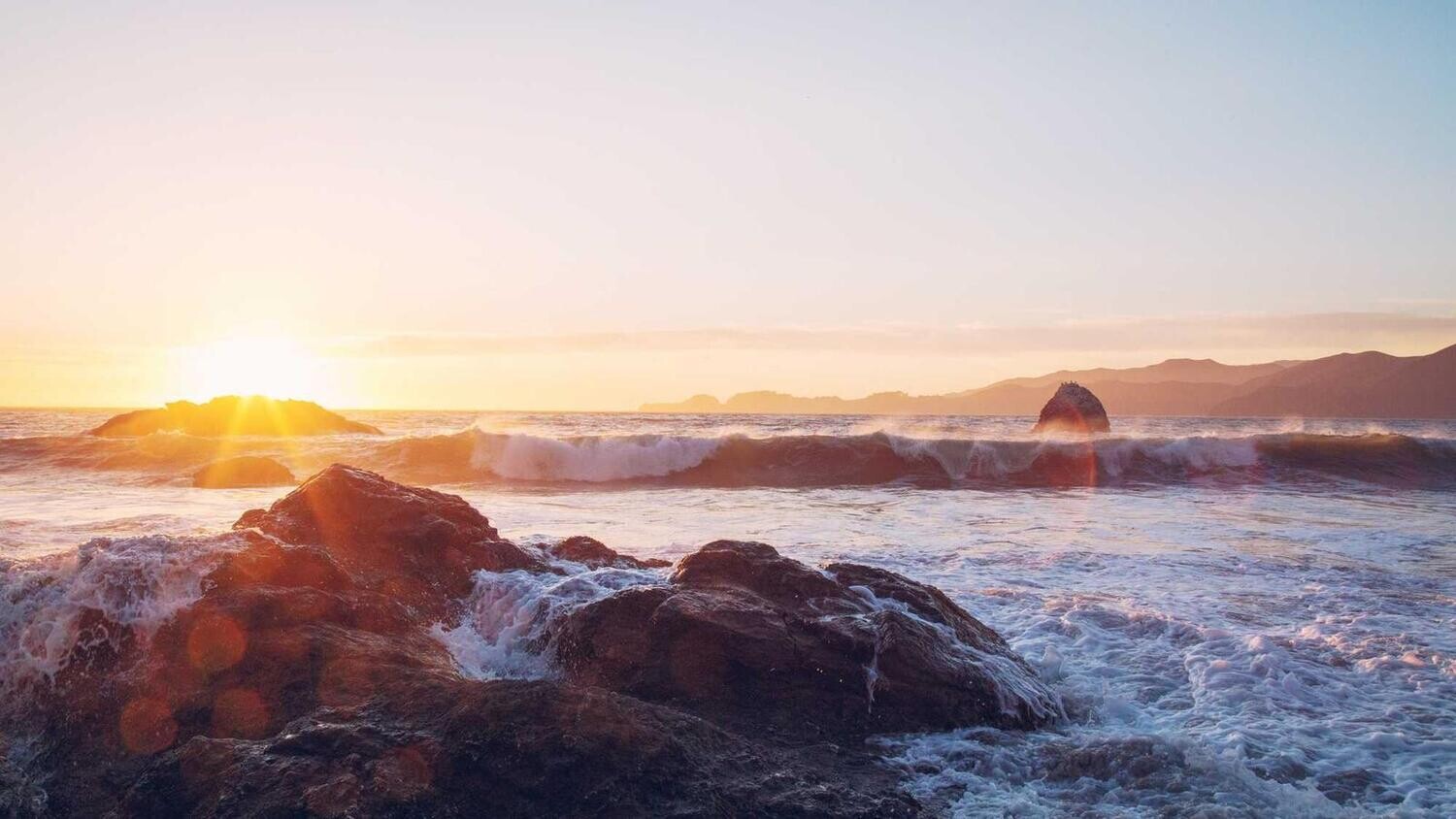 product_19704, Size: Large, Color: Pink