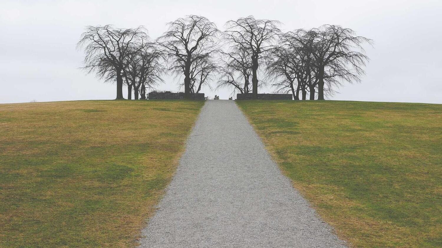 product_50256, Size: Large, Color: Pink