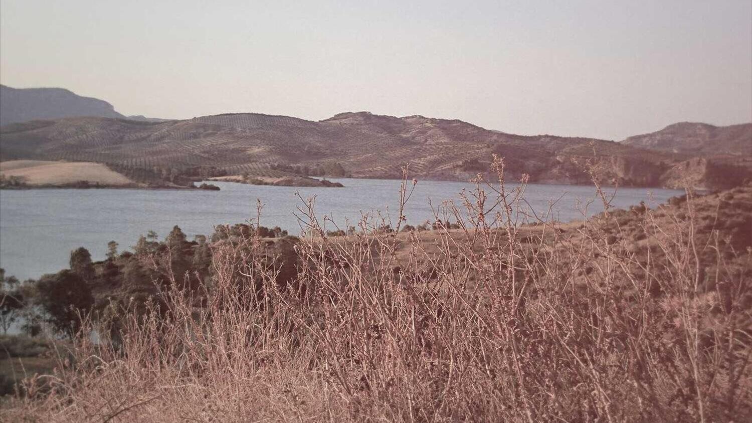 product_48782, Size: Large, Color: Pink