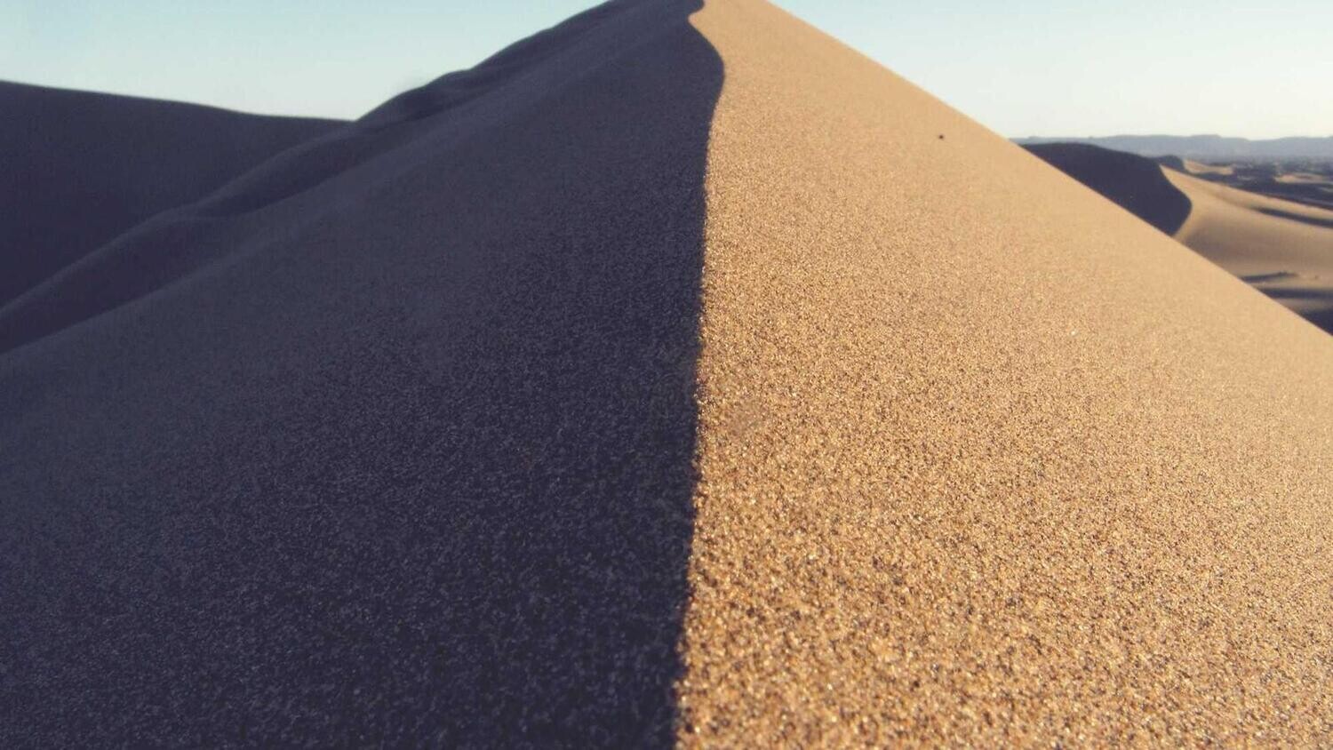 product_51217, Size: Large, Color: Pink