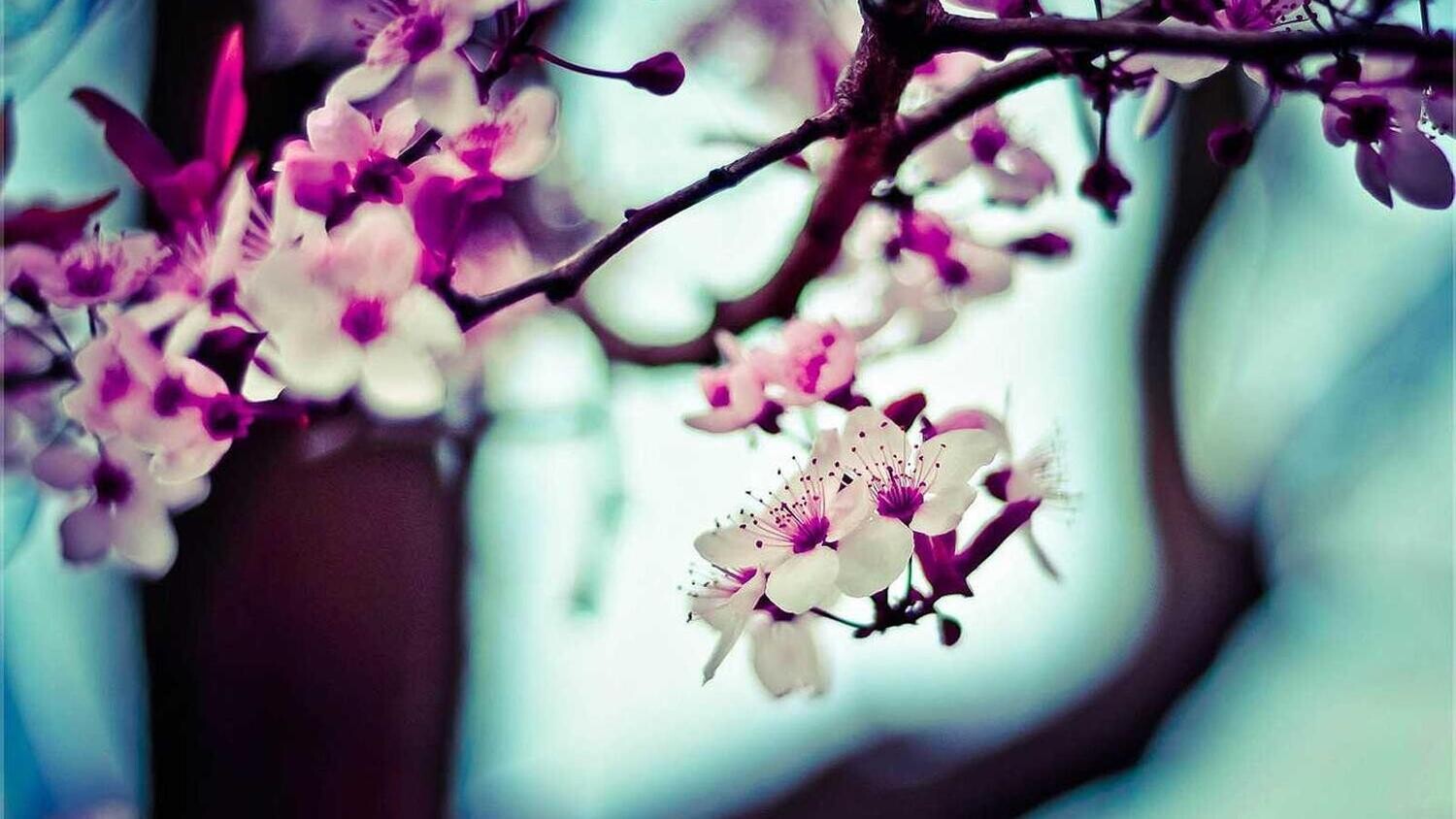 product_26455, Size: Large, Color: Pink