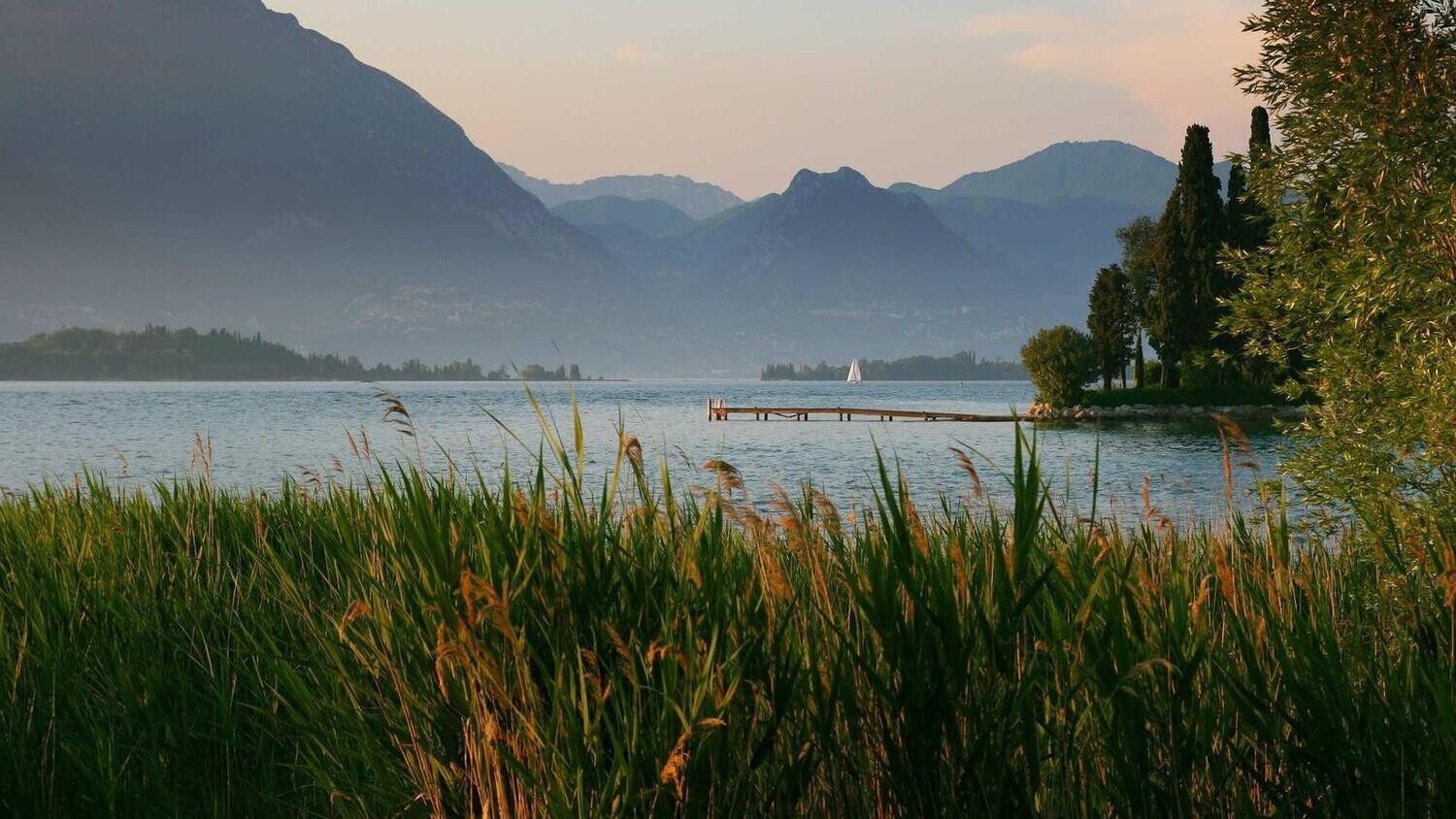 product_45738, Size: Large, Color: Pink