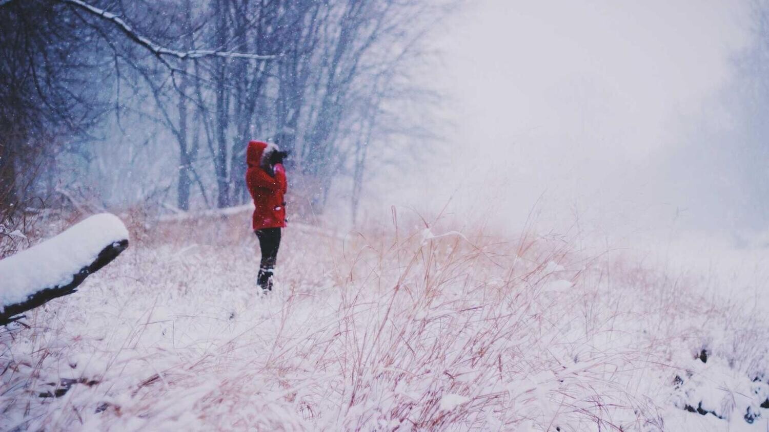 product_40023, Size: Large, Color: Pink