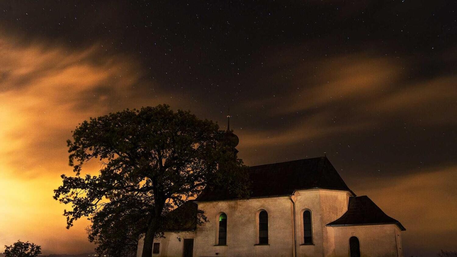 product_38562, Size: Large, Color: Pink