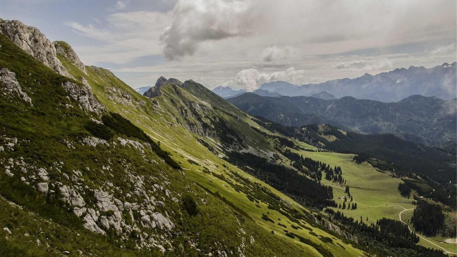 product_14251, Size: Large, Color: Pink