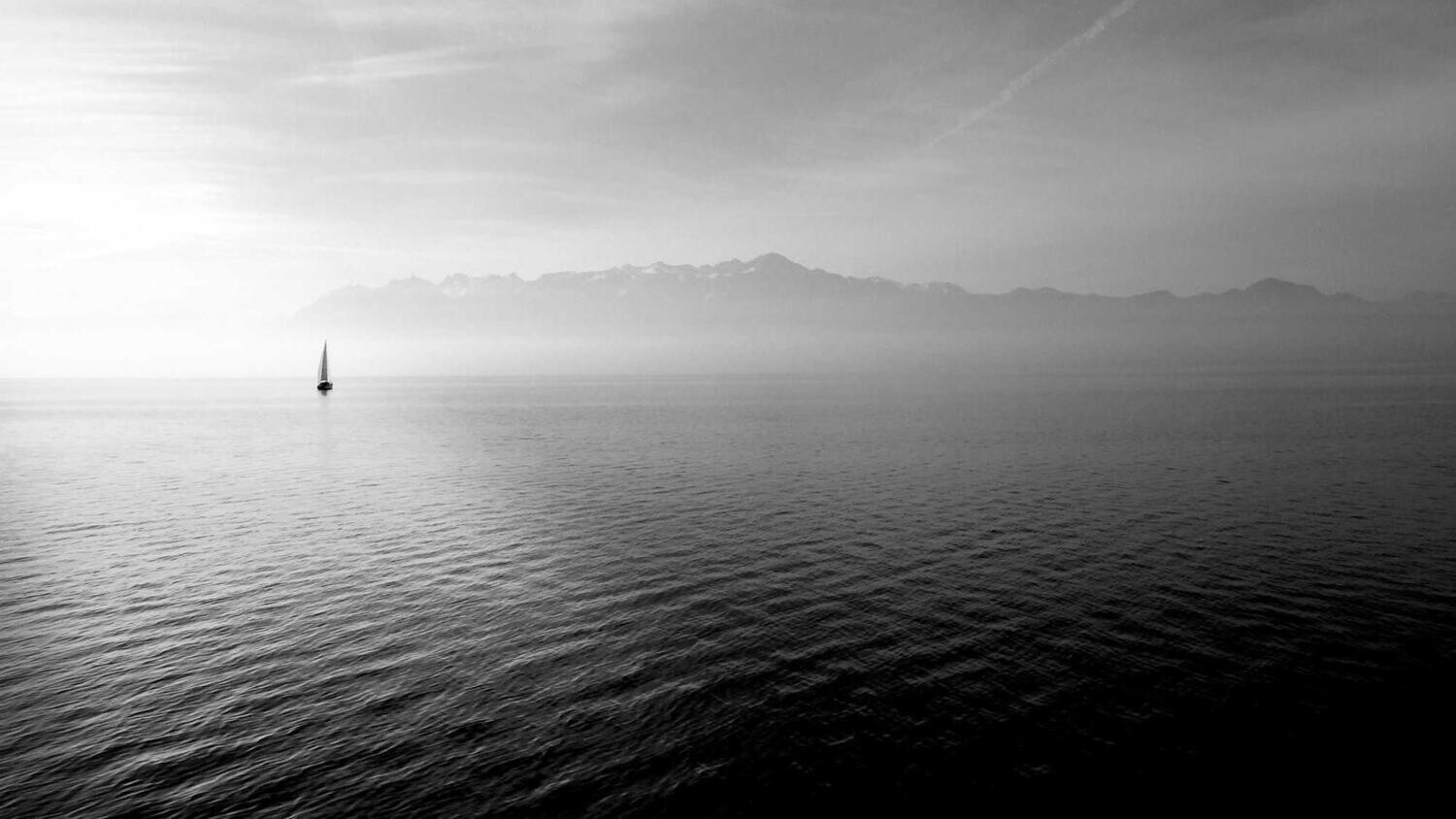 product_15706, Size: Large, Color: Pink