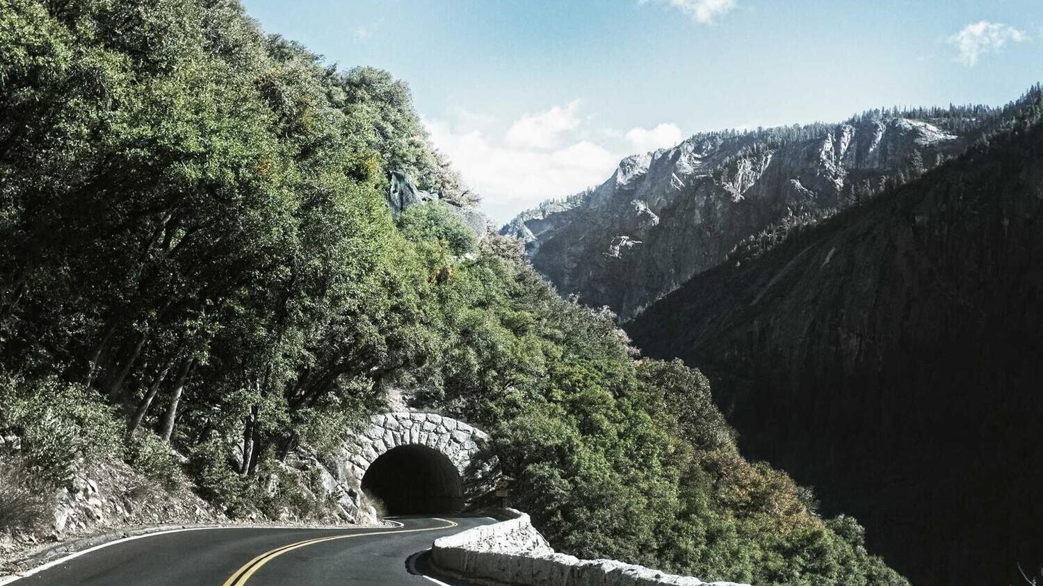 product_41481, Size: Large, Color: Pink