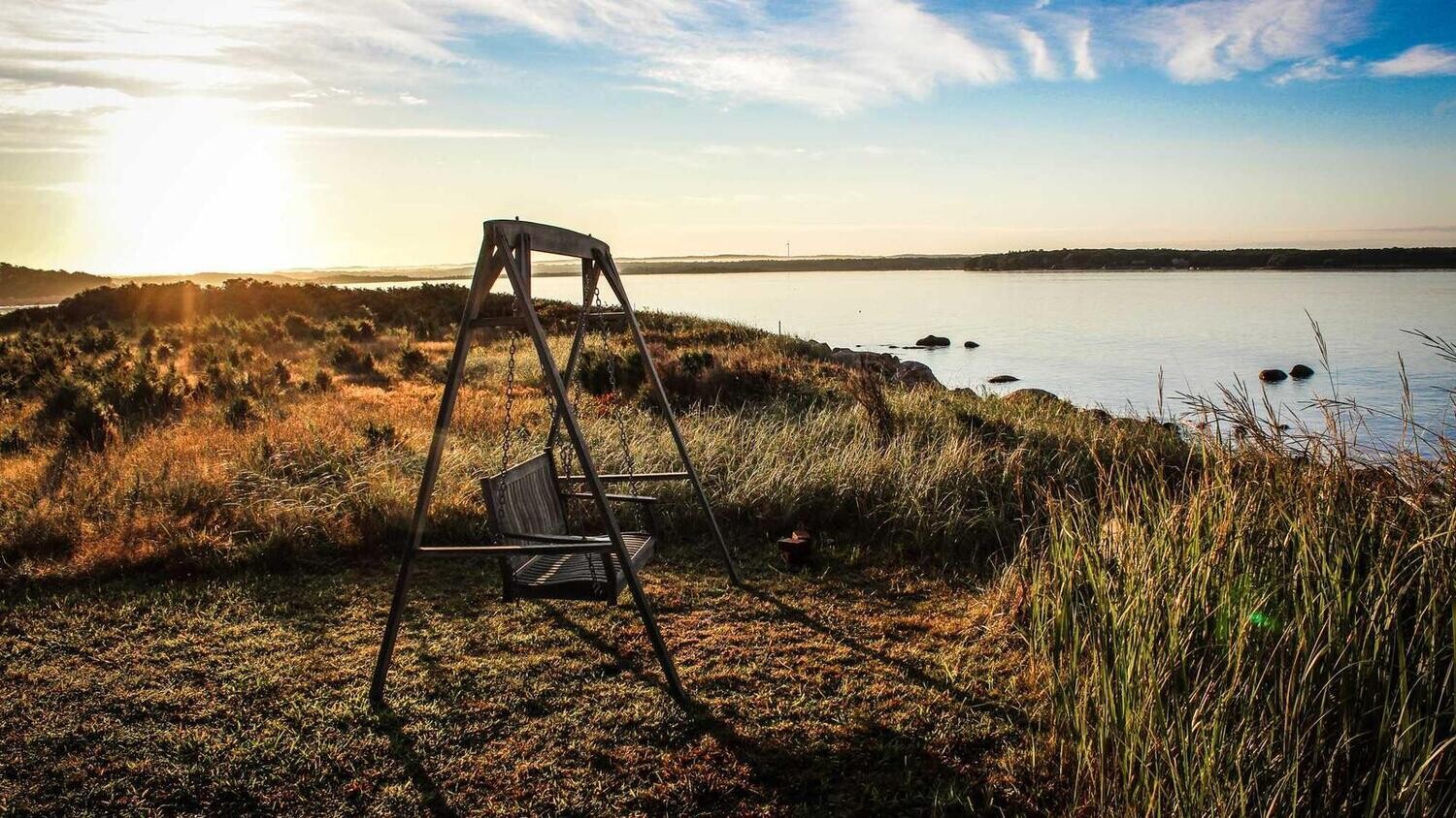 product_47906, Size: Large, Color: Pink