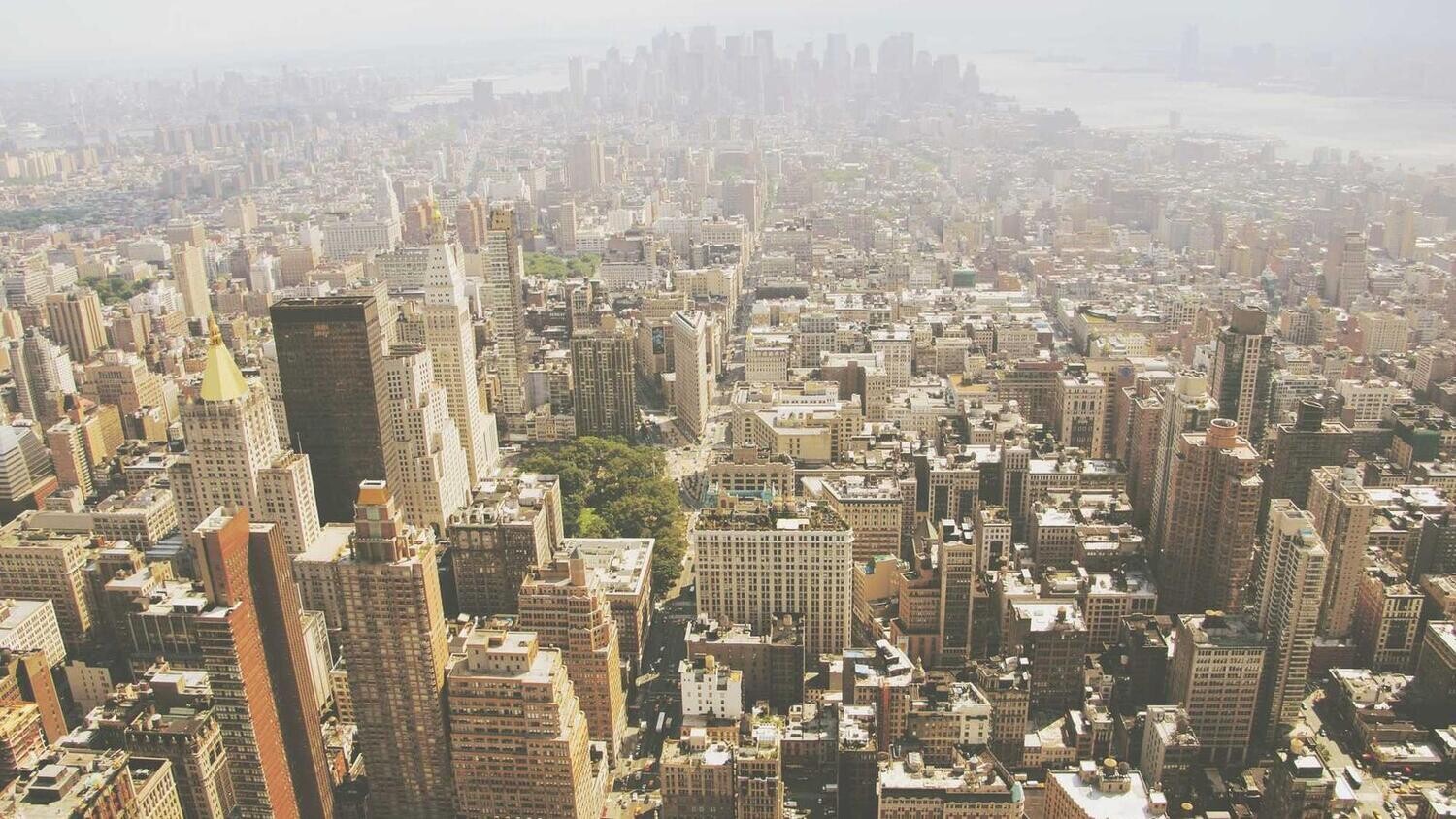 product_41266, Size: Large, Color: Pink