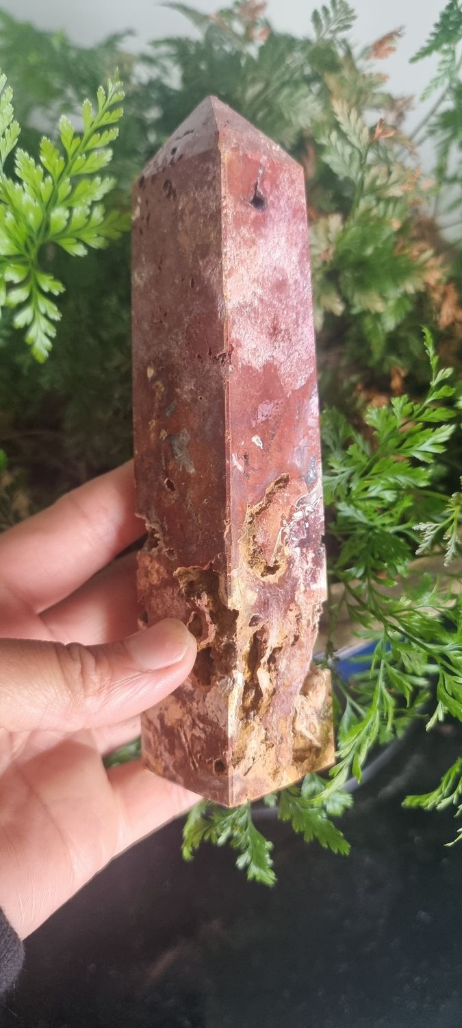 Petrified Wood