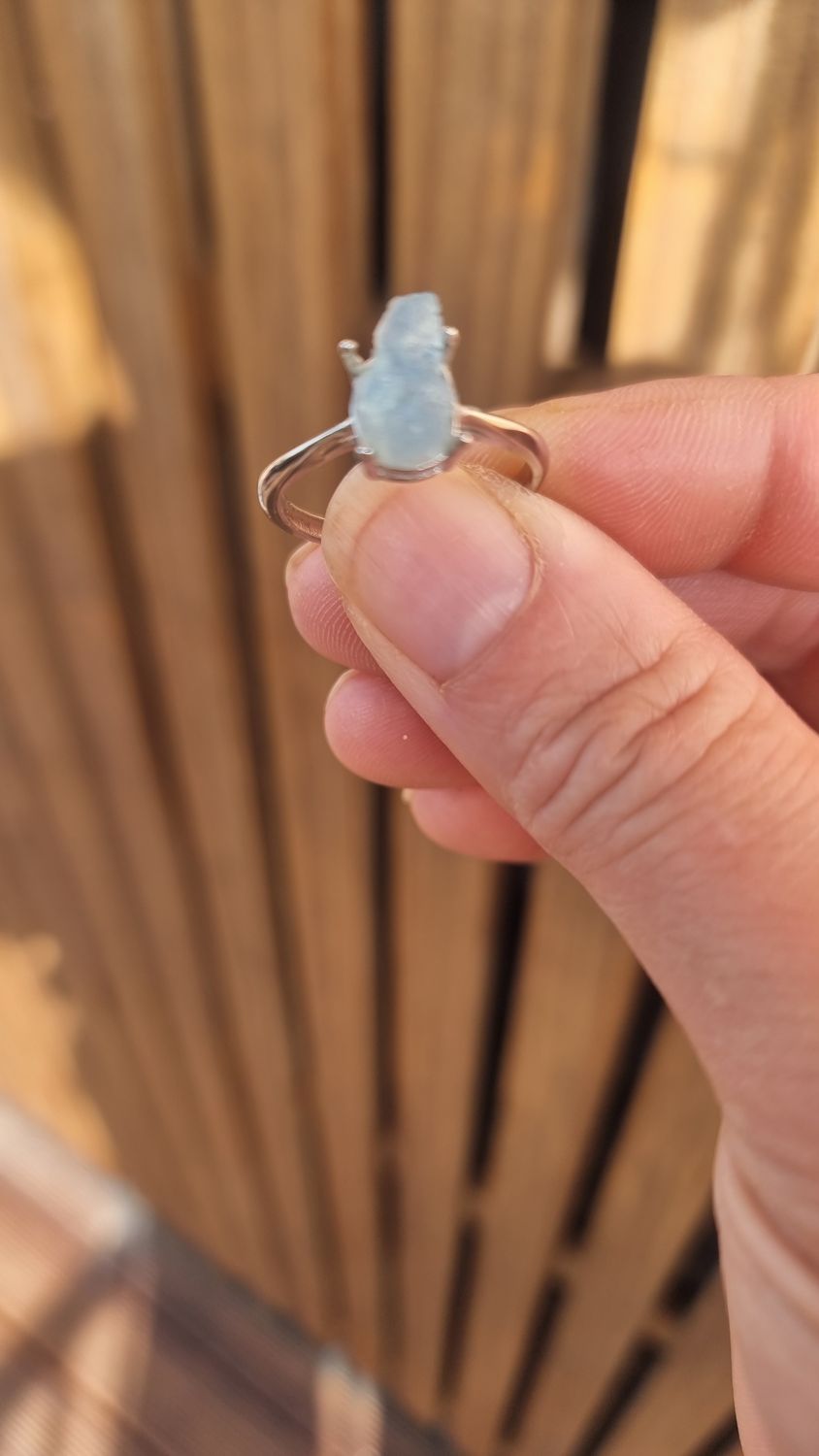 Aquarium Ring